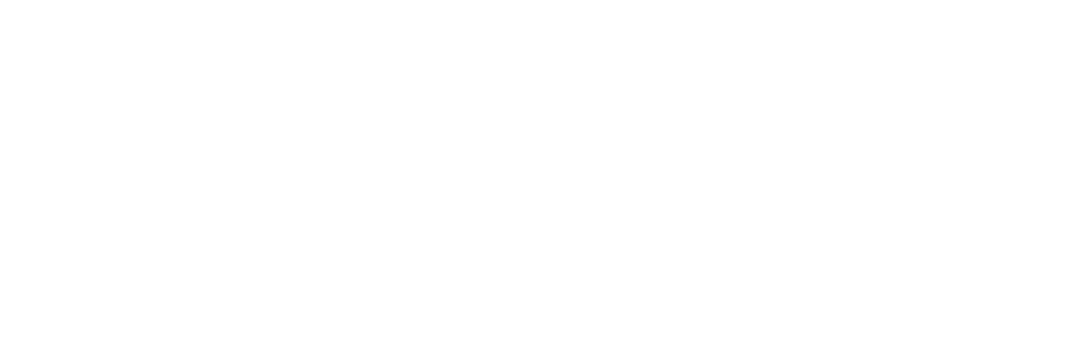 Rheinisches Systemhaus Logo